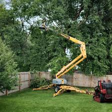 Best Weed Control  in Tolar, TX